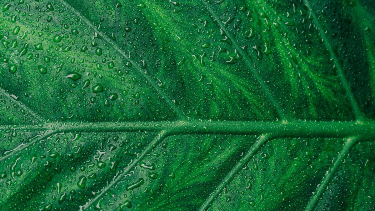 green energy background