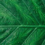 green energy background